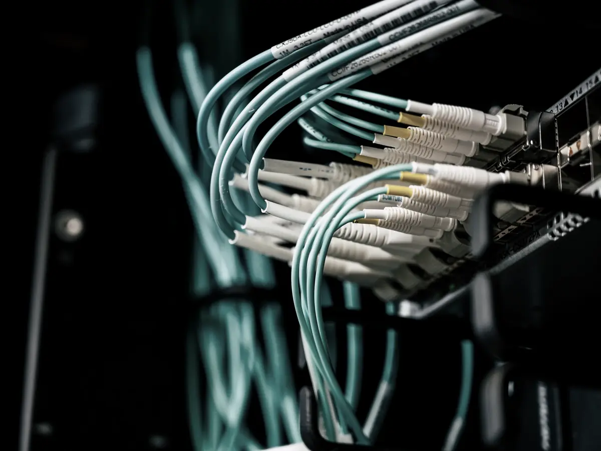 Fibre patch leads fanned out of a switch in a dark cabinet
